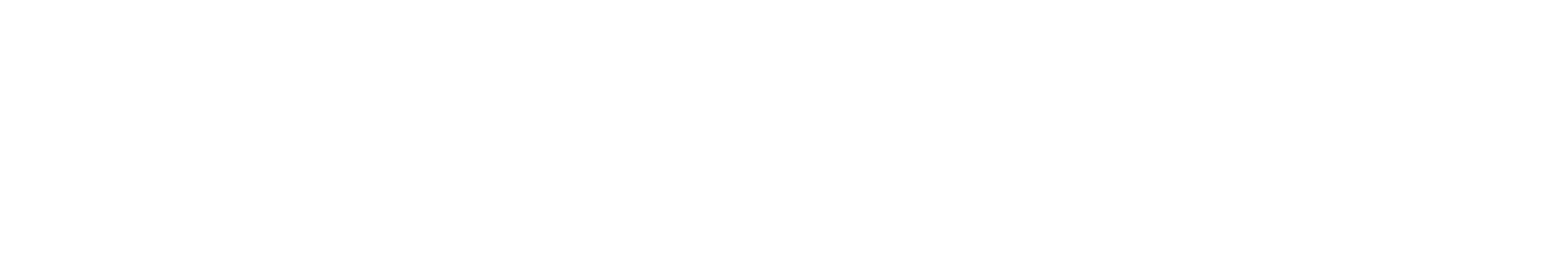The Retail Coach